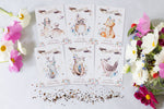 Oh Baby Little Dear Woodland garden seeds