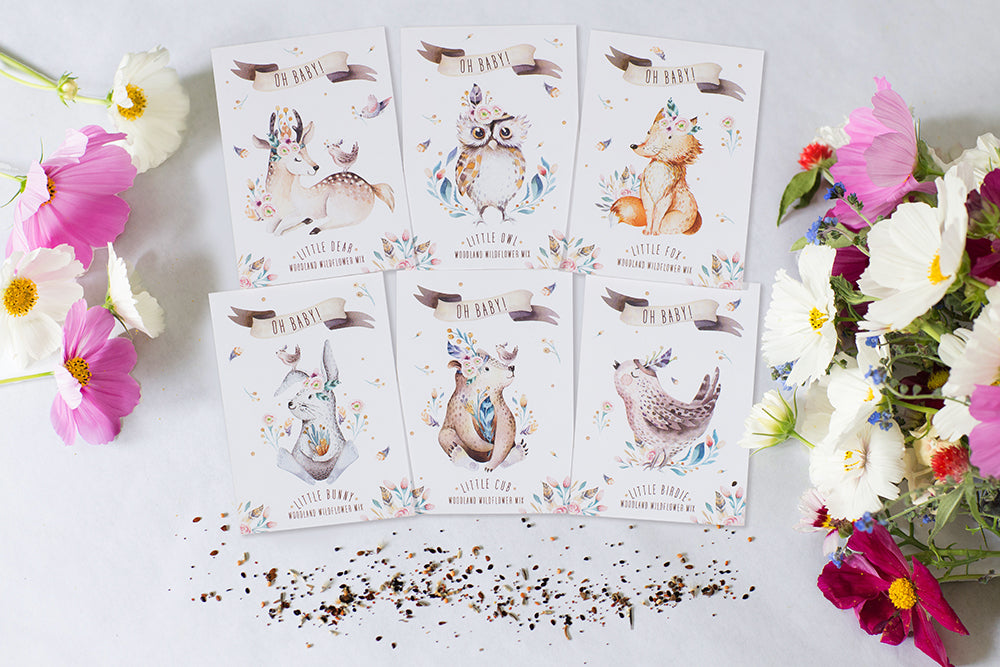 Oh Baby Little Dear Woodland garden seeds