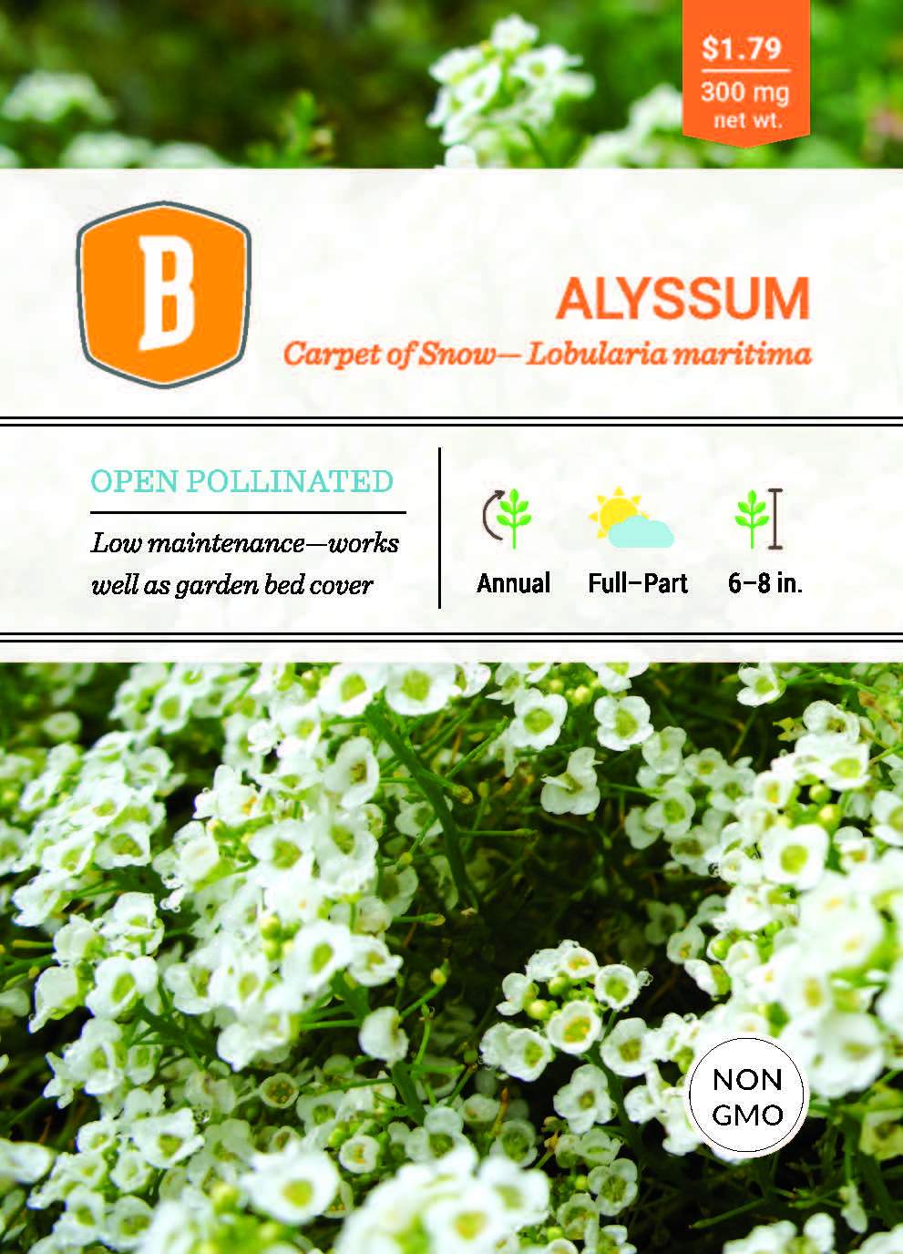 Alyssum garden seeds