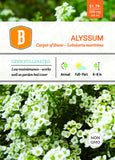 Alyssum - Carpet of Snow Seed - Bentley Seeds