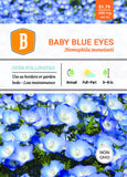 Baby Blue Eyes Seed - Bentley Seeds