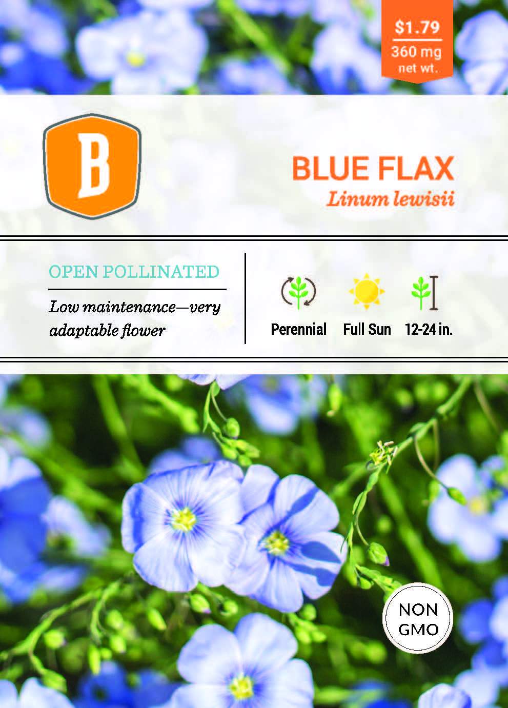 flax flower seeds Blue Flax Seed