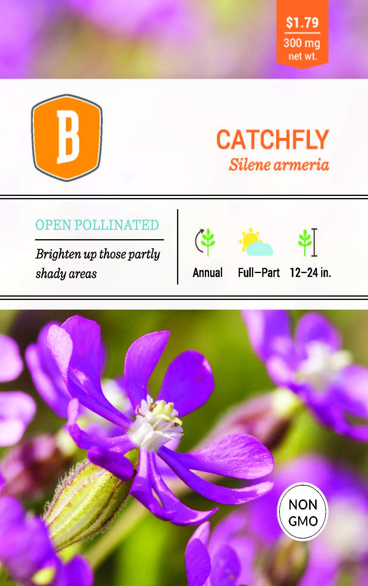 Catchfly Seed seed packet