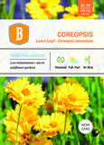 Coreopsis - Lance-Leaved Seed - Bentley Seeds