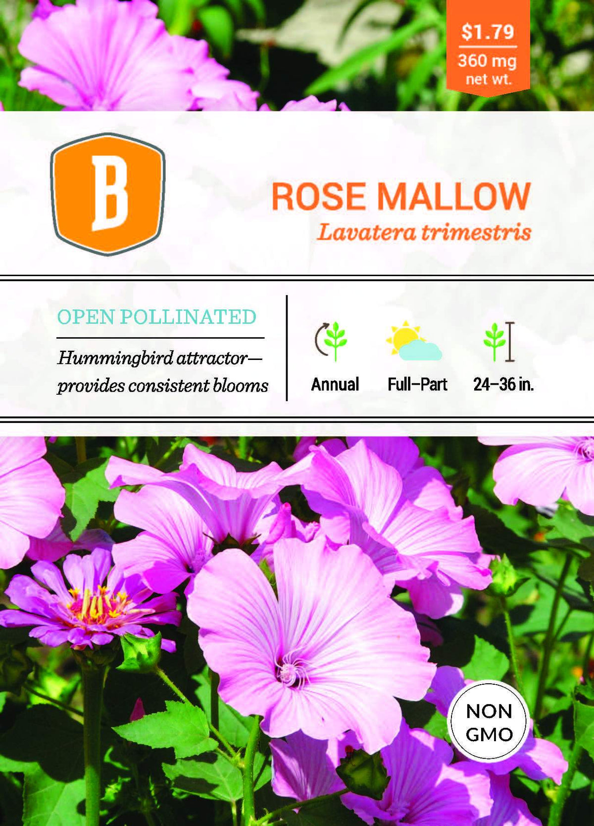 rose mallow from seed Rose Mallow Seed