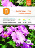 Rose Mallow Seed - Bentley Seeds