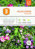 Shade Wildflower Mix - Bentley Seeds