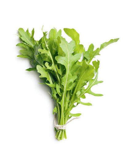 Arugula garden seeds