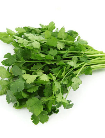 Cilantro, Coriander flower seeds