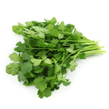 Cilantro - Slow Bolting Seed - Bentley Seeds
