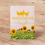 "Chicken" Mammoth Sunflower Seed Packet in White - Bentley Seeds
