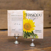 Thank You garden seeds