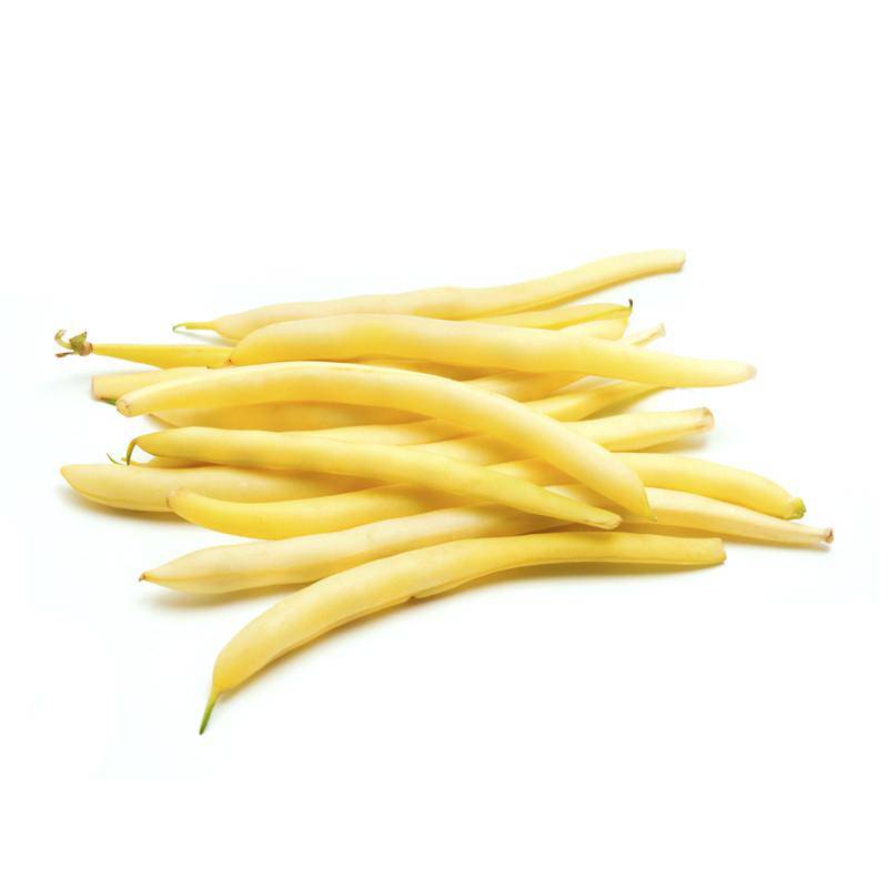 Beans, Golden Wax Bush Bean Seed Packets garden seeds