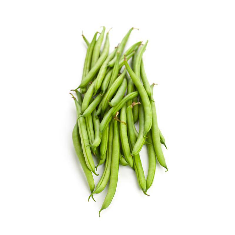 Bean - Kentucky Wonder Pole Bean Seed - Bentley Seeds