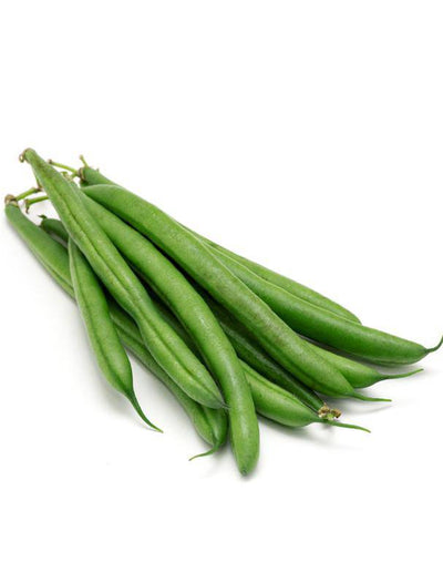 Beans, Provider flower seeds