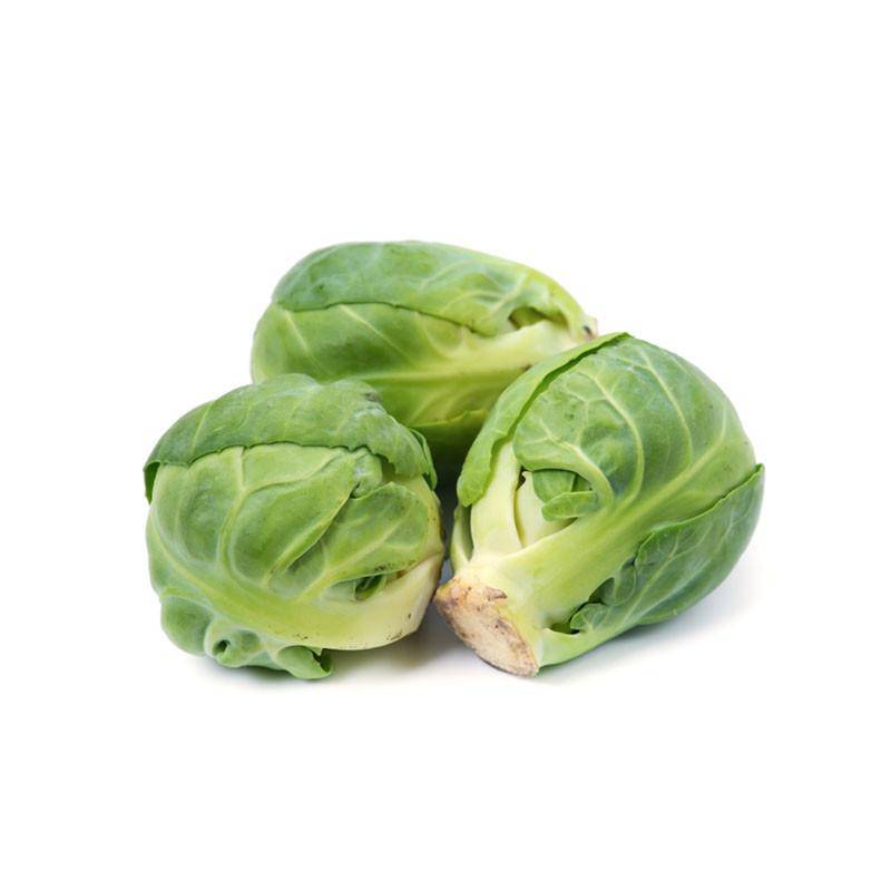 Brussel Sprouts - Long Island Improved Seed - Bentley Seeds