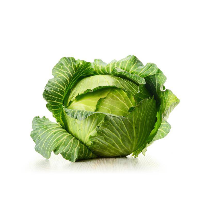 Cabbage - Late Flat Dutch Seed - Bentley Seeds