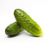 Cucumber - Boston Pickling Seed - Bentley Seeds