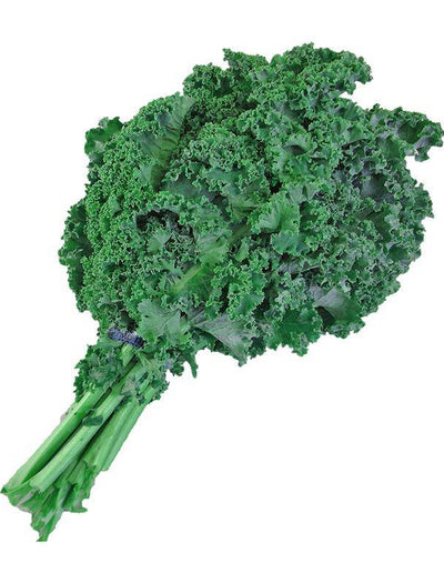 Kale, Dwarf Siberian flower seeds