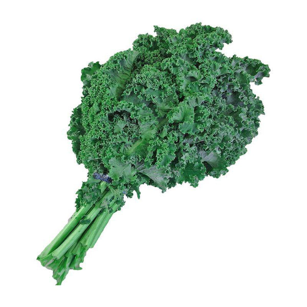 Kale - Dwarf Siberian (Bulk) - Bentley Seeds