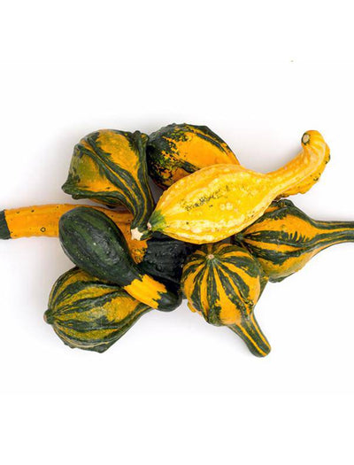 Gourds, Ornamental seed packet
