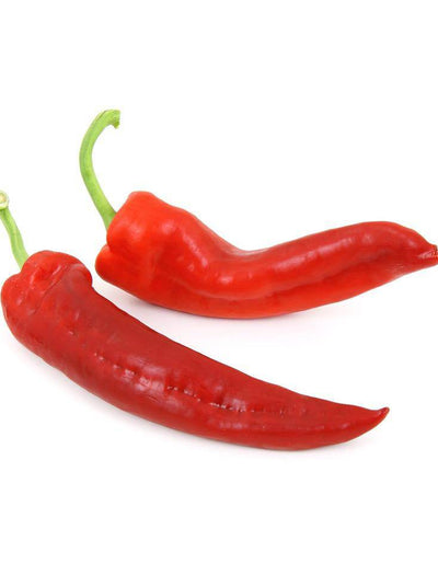 Pepper, Hungarian Hot Wax garden seeds
