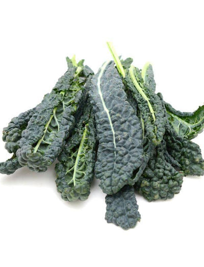 Kale, Lacinato flower seeds