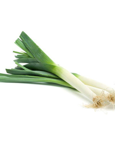 Leek, American Flag garden seeds