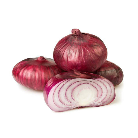 Onion - Red Danvers Seed (Bulk) - Bentley Seeds