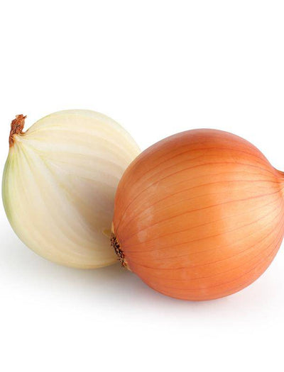 Onion, Yellow Sweet Spanish garden seeds