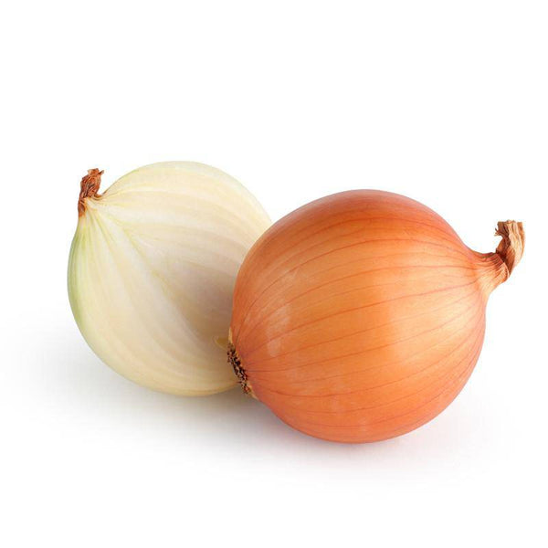 Onion - Yellow Sweet Spanish (Bulk) - Bentley Seeds