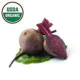 Organic Beet Seeds - Detroit Dark Red - Bentley Seeds