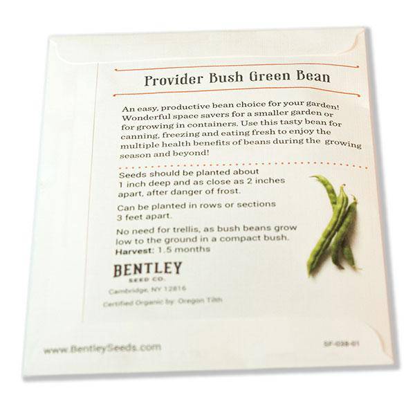 Organic Green Bean Seeds flower seeds