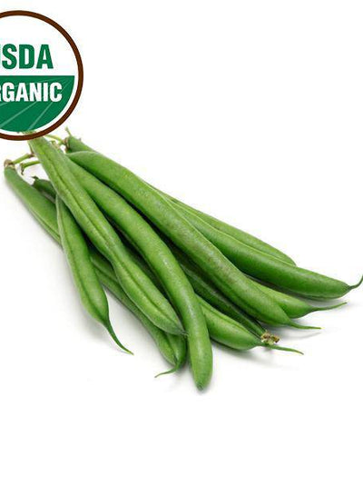 Organic Green Bean Seeds flower seeds