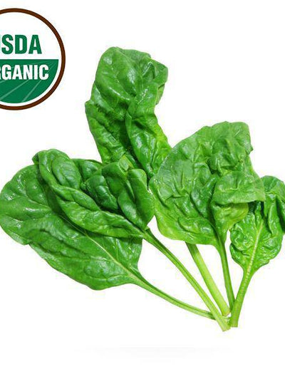 Organic Spinach Seeds garden seeds