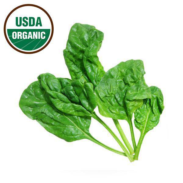 Organic Spinach Seeds garden seeds