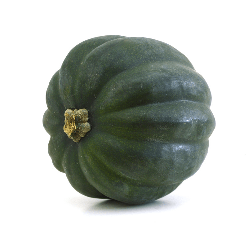 Squash, Acorn Table Queen seed packet