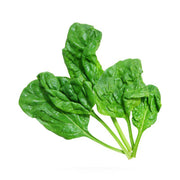 Baby Spinach on white background.