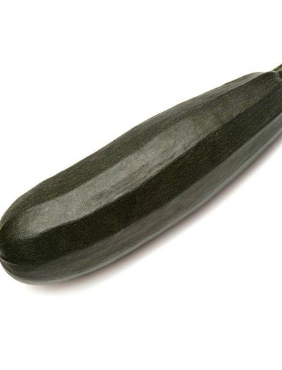 Squash, Black Beauty Zucchini flower seeds