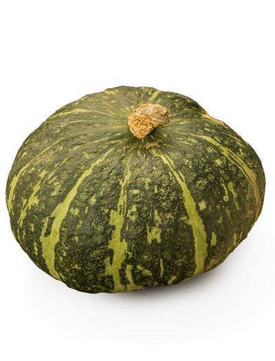 Squash, Burgess Buttercup garden seeds