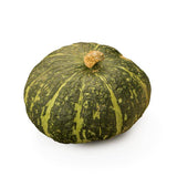 Squash - Burgess Buttercup Seed - Bentley Seeds