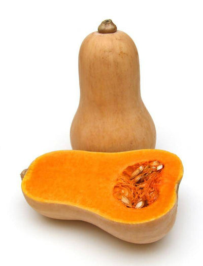 Squash, Butternut Waltham seed packet