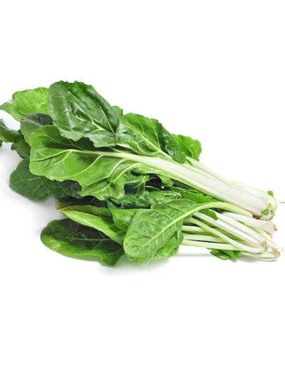 Swiss Chard, Fordhook flower seeds