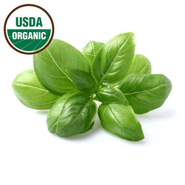 Organic Basil Seeds garden seeds