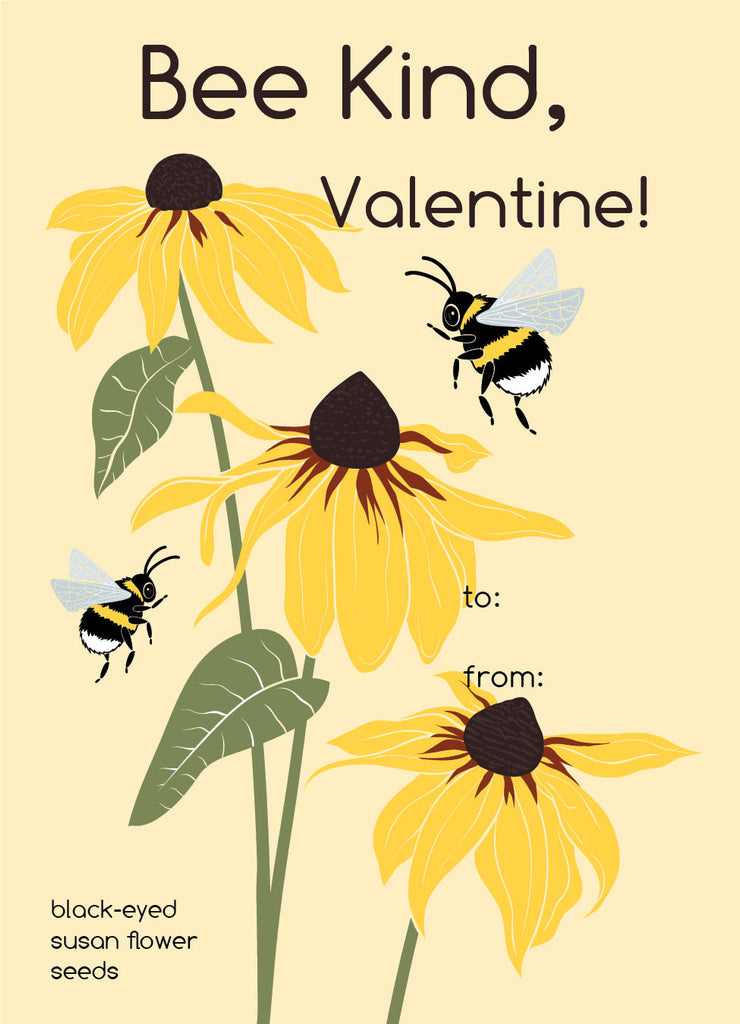 Bee Kind, Valentine! Favor Valentine Seed Packets Black Eyed Susan - Bentley Seeds
