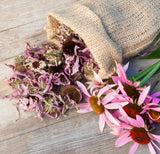 Herbs - Natural Relaxation Grow Stix Kit - Bentley Seeds