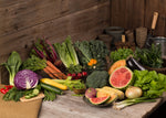 Top 40 Vegetable & Herb Seed Packets flower seeds