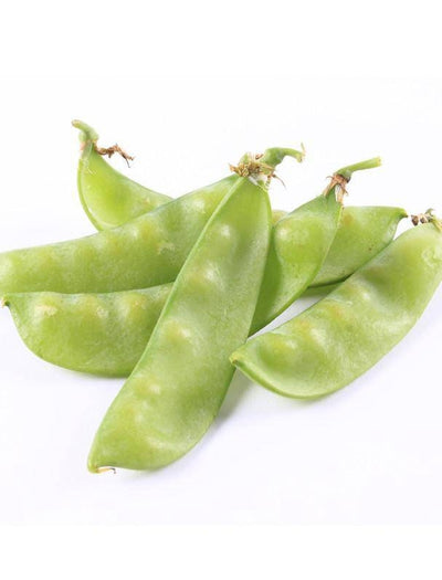 Peas, Oregon Sugar Pod garden seeds