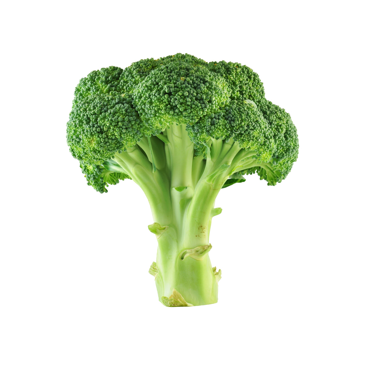 Broccoli, Green Sprouting seed packet