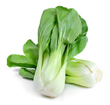 Cabbage - Pak Choi - Bentley Seeds